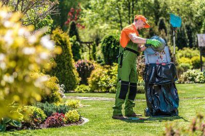 Local Garden Maintenance Services